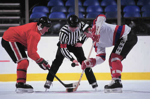 cá cược khúc côn cầu AHL Calder Cup